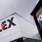 pallex